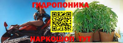 прущие крисы Донецк